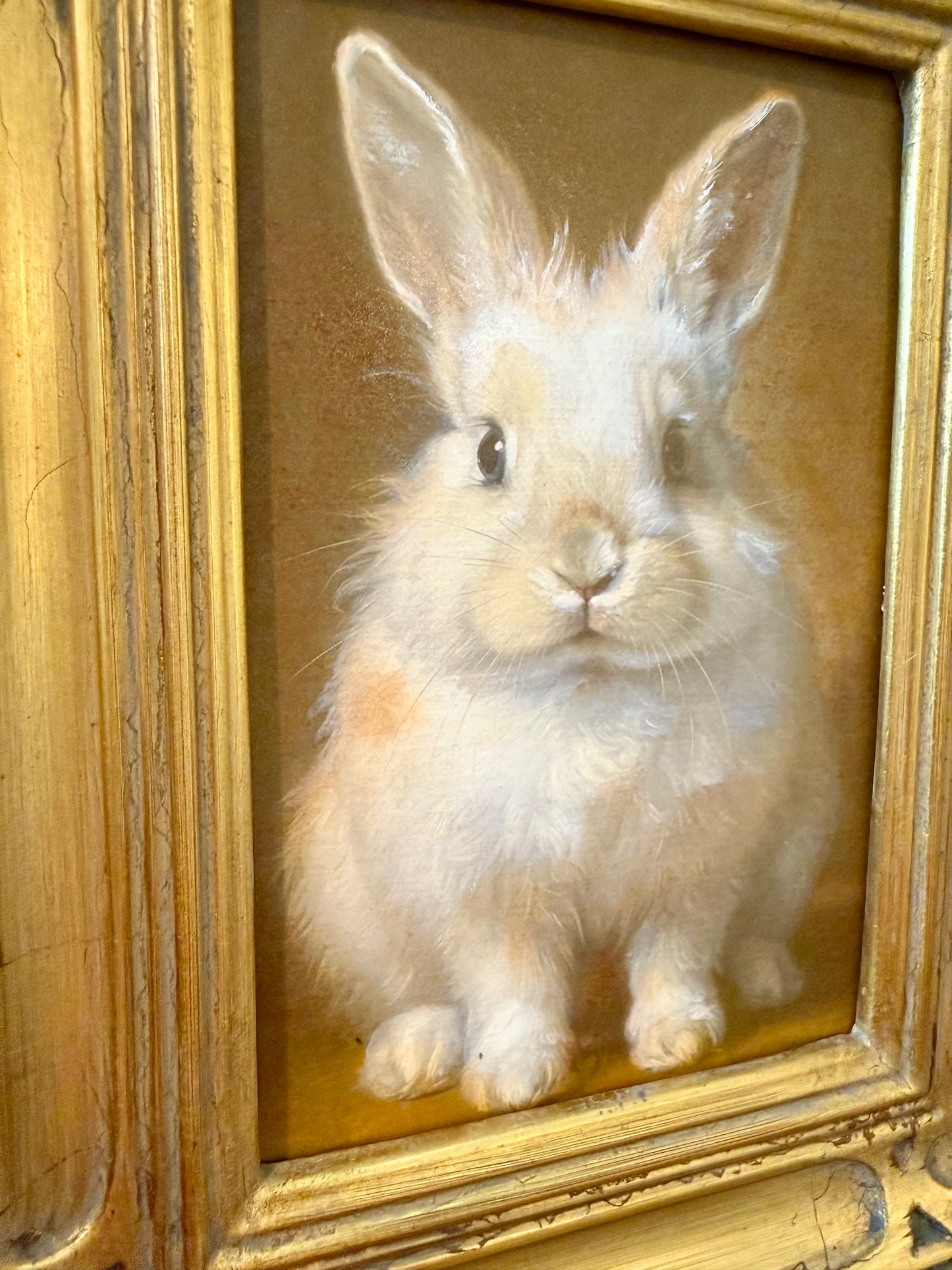 Flop & Hop Bunny Set
