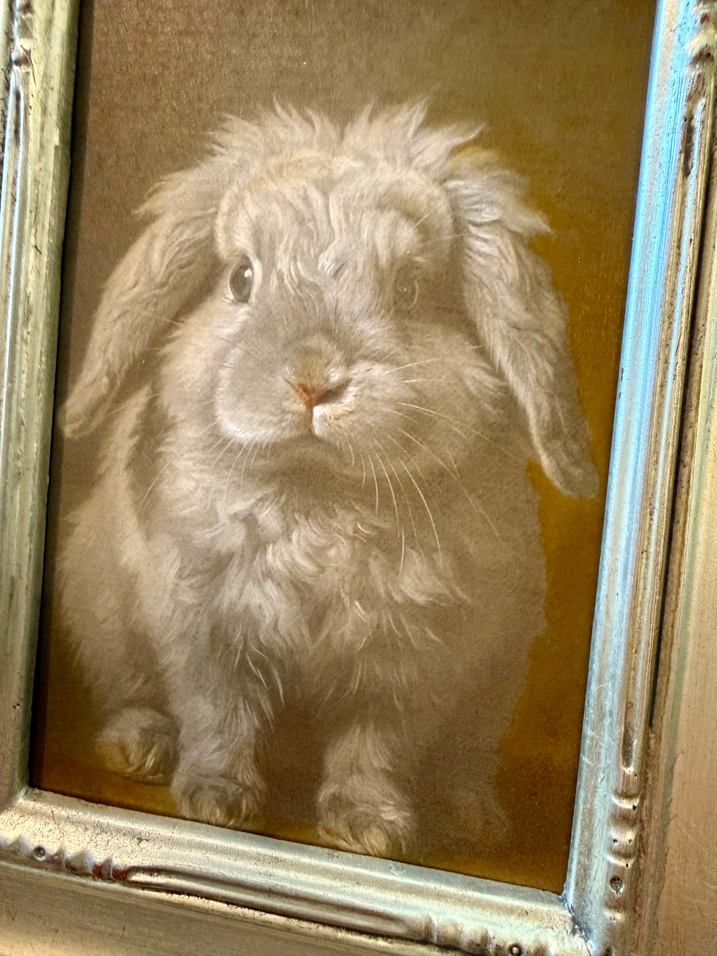Flop & Hop Bunny Set